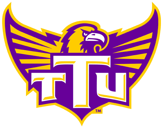 Tennessee Tech Golden Eagles 2006-Pres Alternate Logo iron on paper